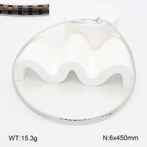 2N2007401ablb-452  Stainless Steel Necklace