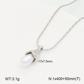 2N3003079vbpb-263  Stainless Steel Necklace