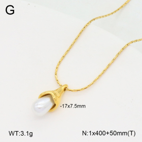 2N3003080bhva-263  Stainless Steel Necklace