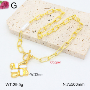 F2N300365vbpb-J121  Fashion Copper Necklace