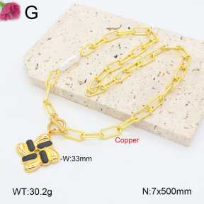 F2N300366vbpb-J121  Fashion Copper Necklace