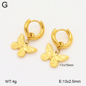 2E2006518bhim-209  Stainless Steel Earrings