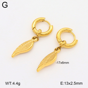 2E2006519bhim-209  Stainless Steel Earrings