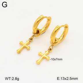 2E2006521bhhm-209  Stainless Steel Earrings