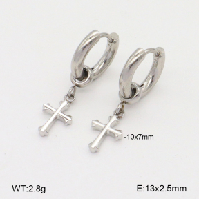 2E2006522bbpm-209  Stainless Steel Earrings