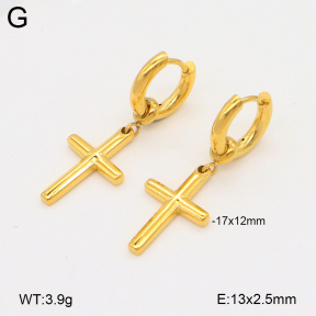 2E2006527bhim-209  Stainless Steel Earrings