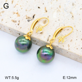 2E3003859bbpo-209  Stainless Steel Earrings