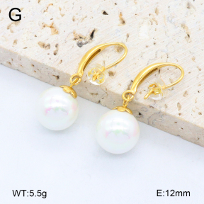 2E3003860bbpo-209  Stainless Steel Earrings