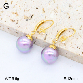 2E3003861bbpo-209  Stainless Steel Earrings
