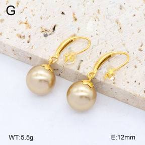 2E3003862bbpo-209  Stainless Steel Earrings