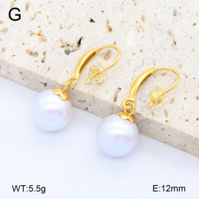 2E3003863bbpo-209  Stainless Steel Earrings