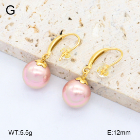 2E3003865bbpo-209  Stainless Steel Earrings