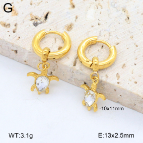 2E4004757bhbo-209  Stainless Steel Earrings