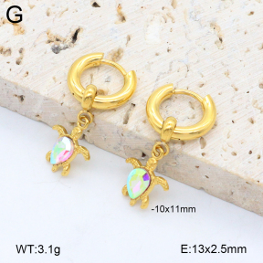 2E4004759bhbo-209  Stainless Steel Earrings