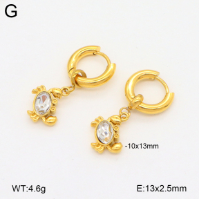 2E4004762bhbo-209  Stainless Steel Earrings