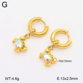 2E4004763bhbo-209  Stainless Steel Earrings