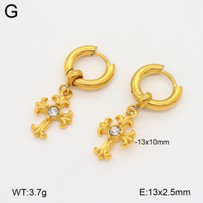 2E4004764bhio-209  Stainless Steel Earrings