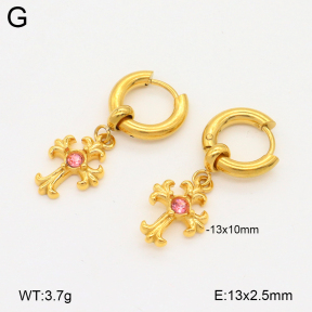 2E4004765bhio-209  Stainless Steel Earrings