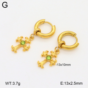 2E4004767bhio-209  Stainless Steel Earrings