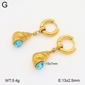 2E4004771bhio-209  Stainless Steel Earrings