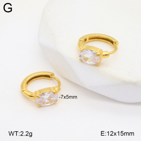 2E4004774bbop-209  Stainless Steel Earrings