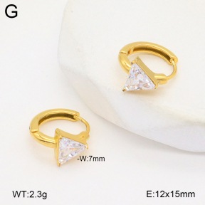 2E4004775bvpl-209  Stainless Steel Earrings