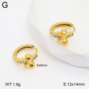 2E4004776bbop-209  Stainless Steel Earrings