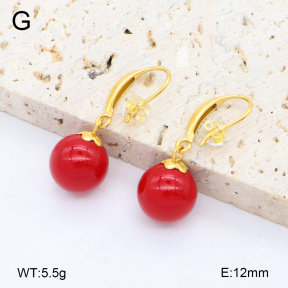 2E4004777bbpo-209  Stainless Steel Earrings