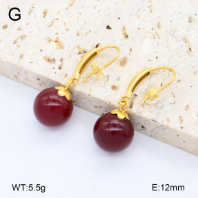 2E4004778bbpo-209  Stainless Steel Earrings