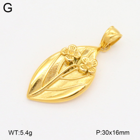 2P2005042bbop-209  Stainless Steel Pendant