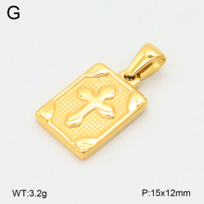 2P2005116vbnl-209  Stainless Steel Pendant