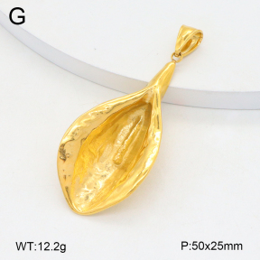 2P2005122vhha-209  Stainless Steel Pendant