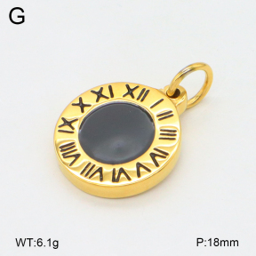 2P3000752bvpl-209  Stainless Steel Pendant