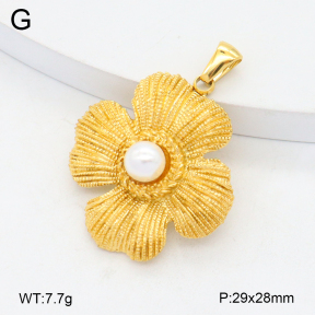 2P3000754bboo-209  Stainless Steel Pendant