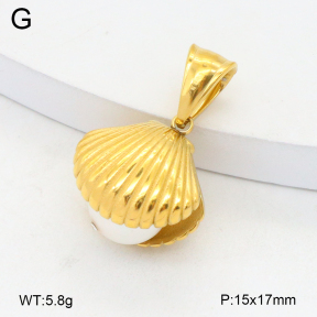 2P3000756bhia-209  Stainless Steel Pendant