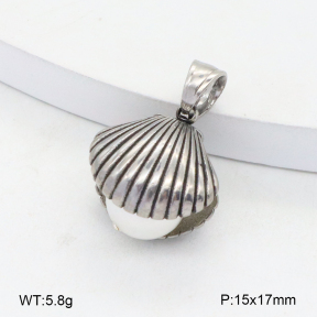 2P3000757bhbl-209  Stainless Steel Pendant