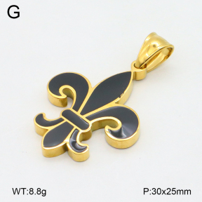 2P3000769bhia-209  Stainless Steel Pendant