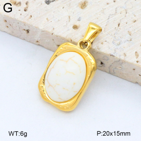 2P4001454bvpl-209  Stainless Steel Pendant