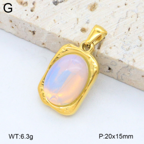 2P4001458bvpl-209  Stainless Steel Pendant