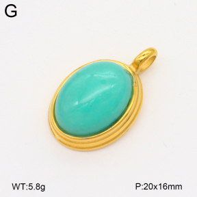 2P4001463bbpo-209  Stainless Steel Pendant