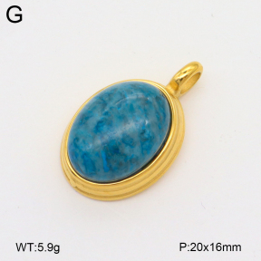 2P4001464bbpo-209  Stainless Steel Pendant