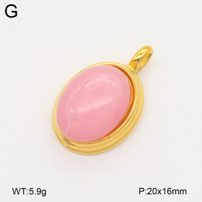 2P4001465bbpo-209  Stainless Steel Pendant