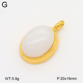 2P4001467bbpo-209  Stainless Steel Pendant