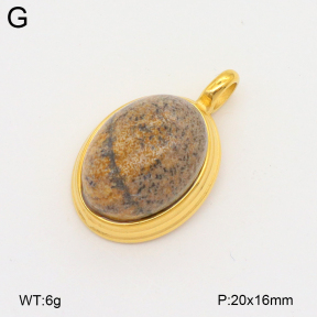 2P4001469bbpo-209  Stainless Steel Pendant