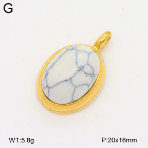 2P4001479bbpo-209  Stainless Steel Pendant