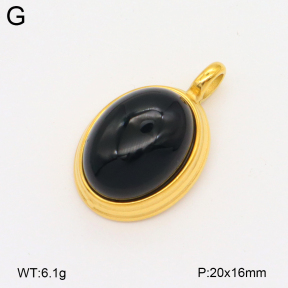 2P4001480bbpo-209  Stainless Steel Pendant