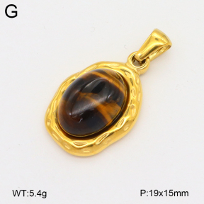 2P4001482bvpl-209  Stainless Steel Pendant