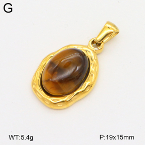 2P4001483bvpl-209  Stainless Steel Pendant