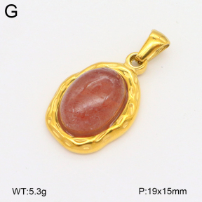 2P4001488bvpl-209  Stainless Steel Pendant