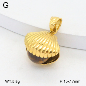 2P4001516bhia-209  Stainless Steel Pendant